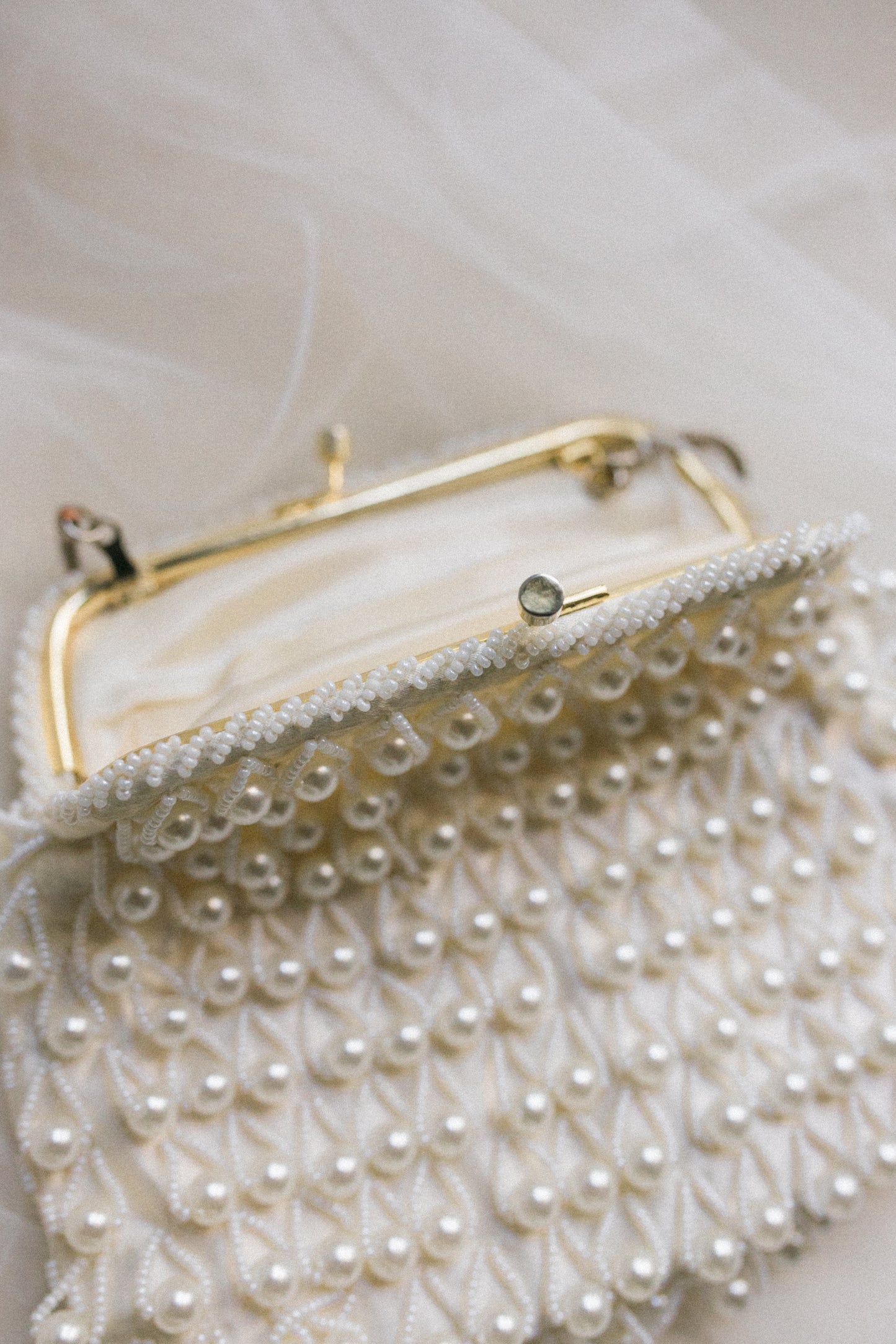 Pearl Beaded Purse
